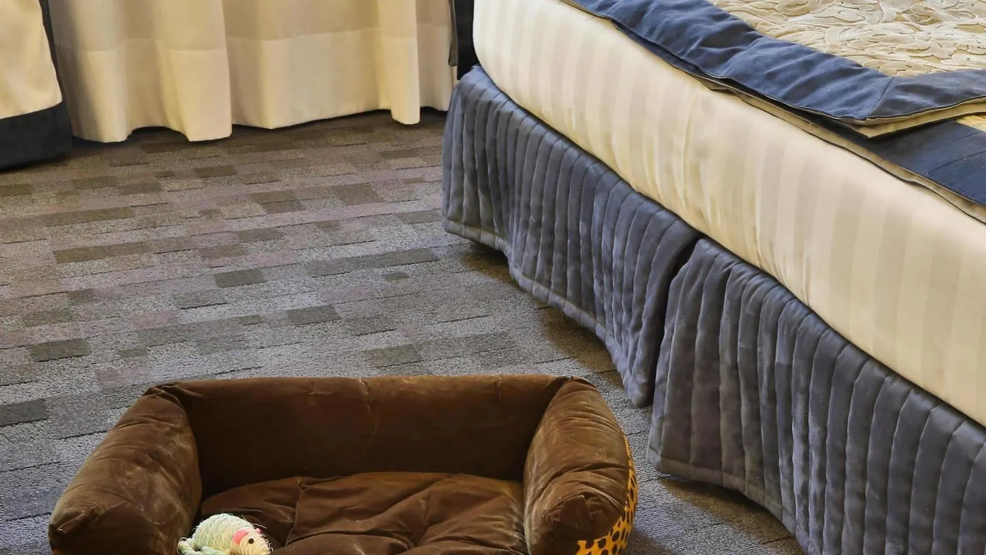 ****  Best Western Plus Borgolecco Hotel Arcore Italien